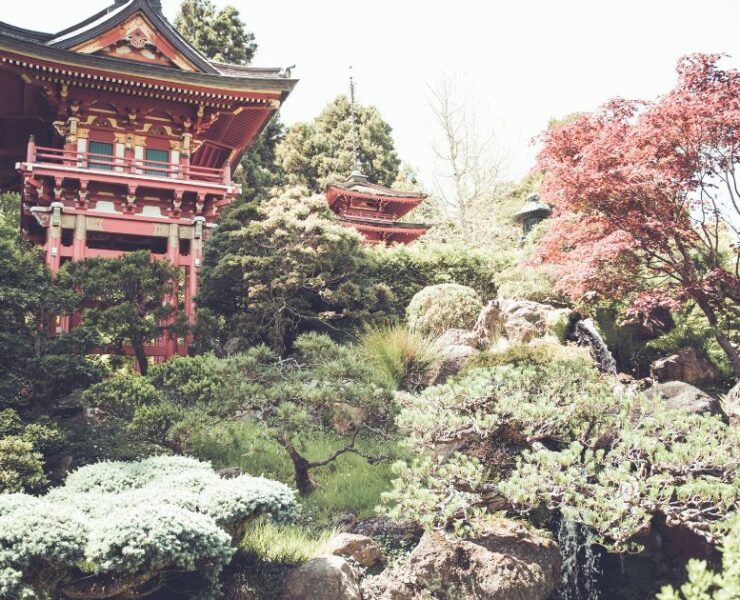 Japanese Gardens in San Francisco
