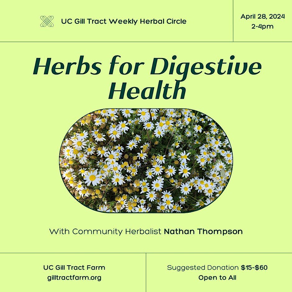 Herbs for Digestive Health