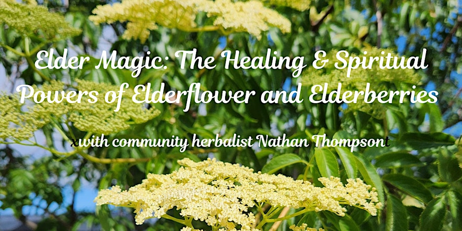 Elder Magic: The Healing & Spiritual Powers of Elderflower and Elderberries