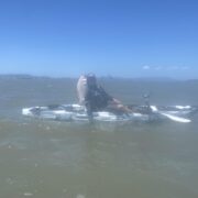 Kayak Fishing Adventure