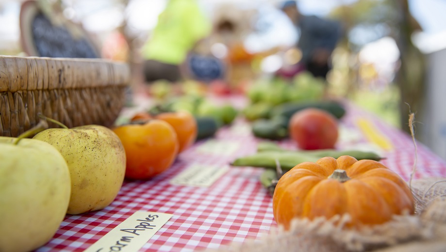 City of Berkeley's Annual Free Harvest Festival