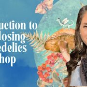 Introduction to Microdosing Psychedelics Workshop