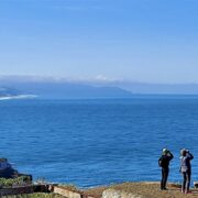 Nature Walk and Bird Count