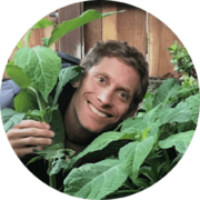 The Misunderstood Healer - Salvia Divinorum