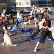 Corporate Yoga San Francisco