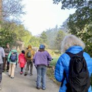 Great Backyard Bird Count Nature Walk with LushNature Wellness